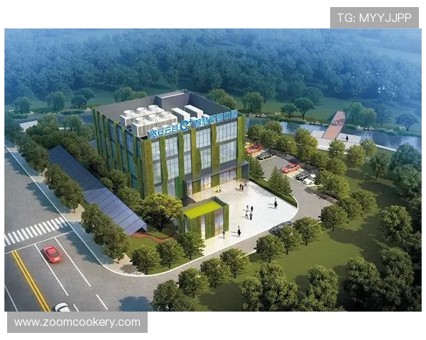 凯发娱乐官网平台的客户服务与技术支持体系全面提升用户满意度